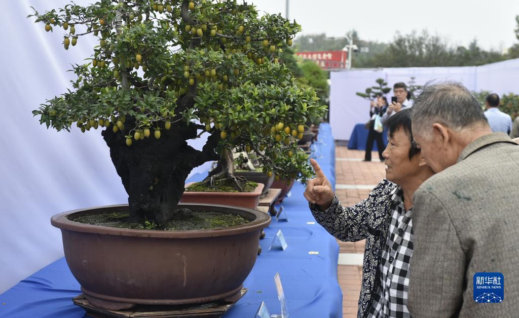 申慱官网电话